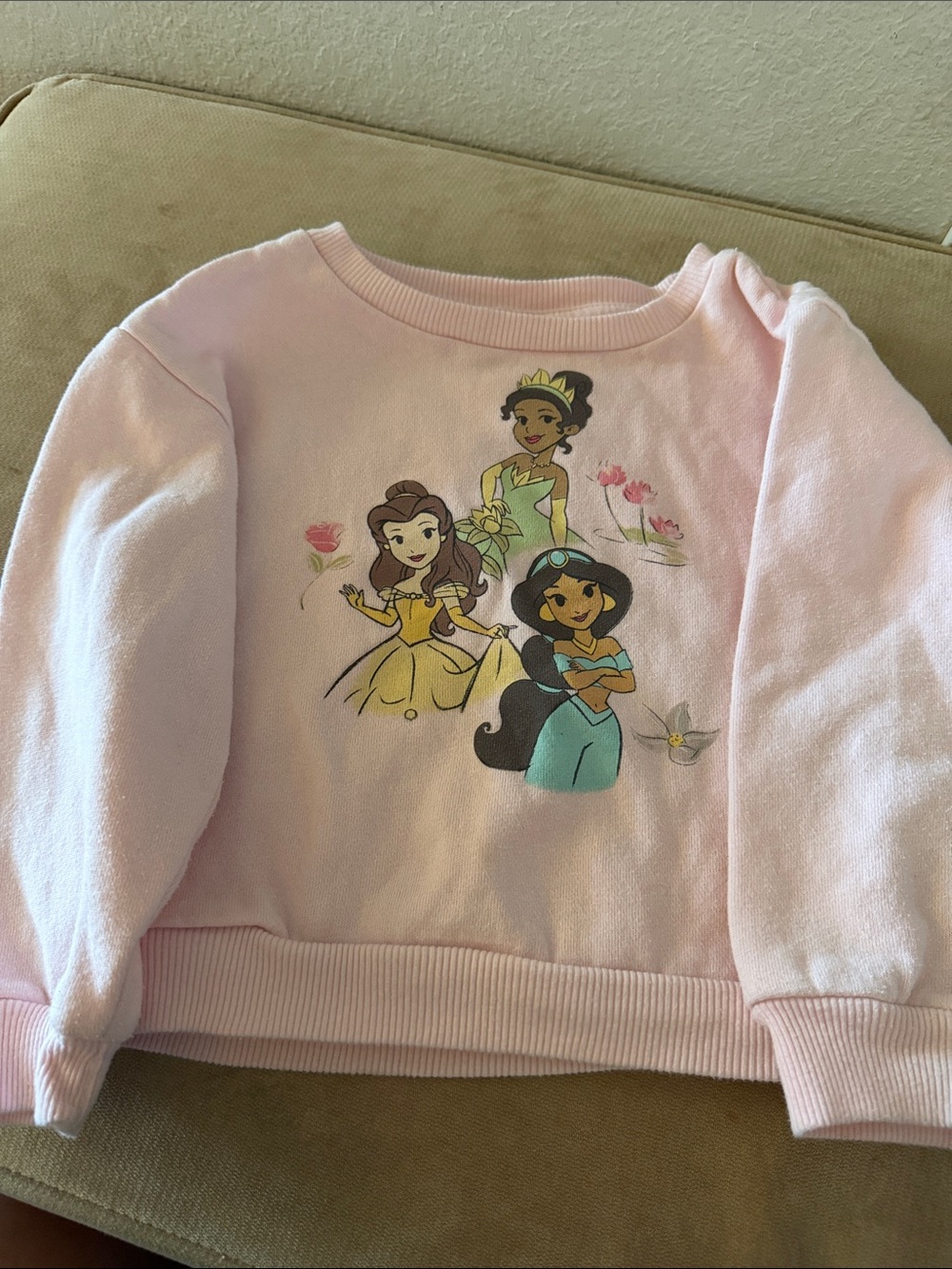 Disney Princess Pink Girls' Graphic Sweatshirt - Pink 4T